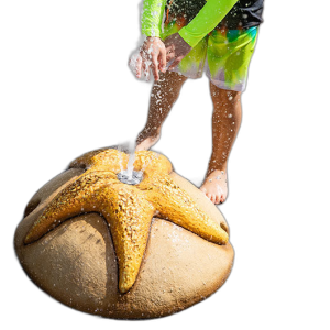 Vòm Bê Tông Hình Sao Biển Phun Nước – Biotechpool