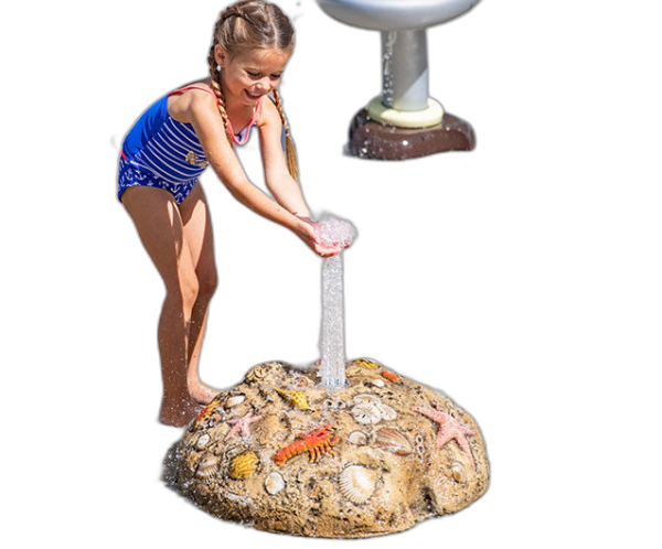 Vòm Bê Tông Sinh Vật Biển Phun Nước – Biotechpool